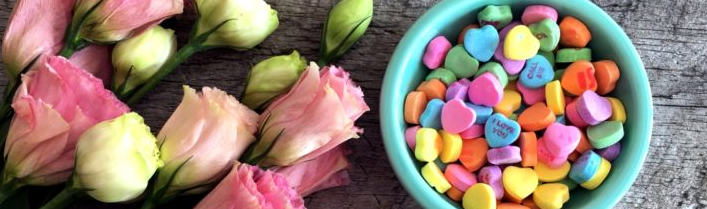 画像の説明 画像の説明